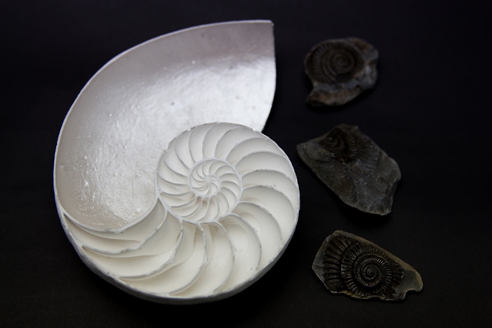 Fused glass powder, nautilus shell sculpture